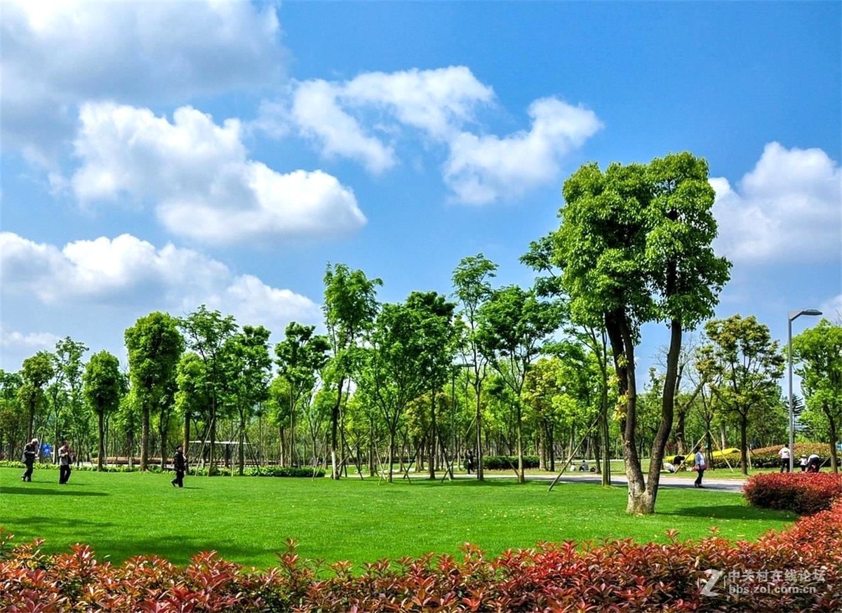 一派夏日风情的公园美景01