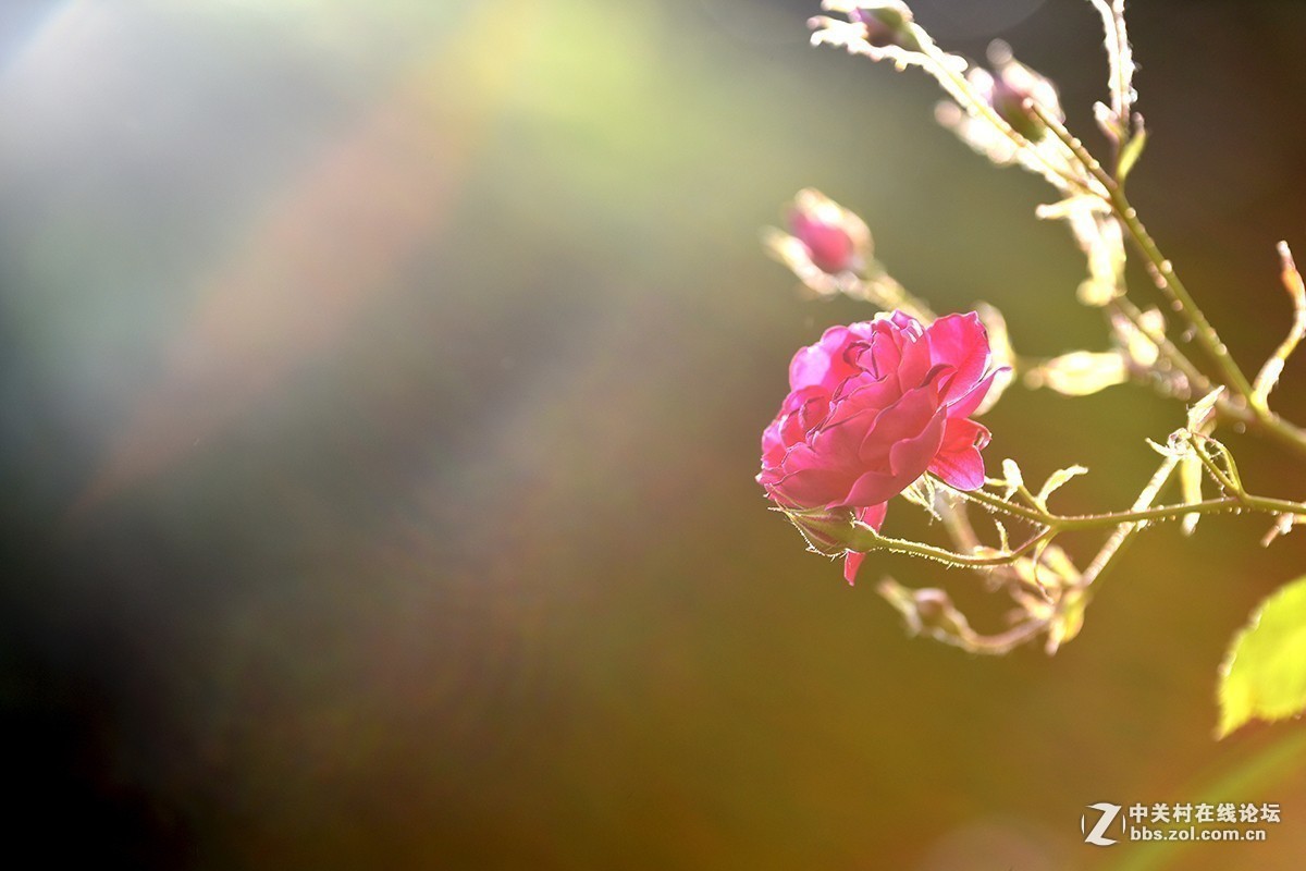 #版主坐堂# 腾龙153星空(中国)2017年十月精品荟萃