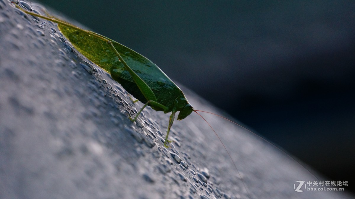 整理去年丙察察进藏的片子~