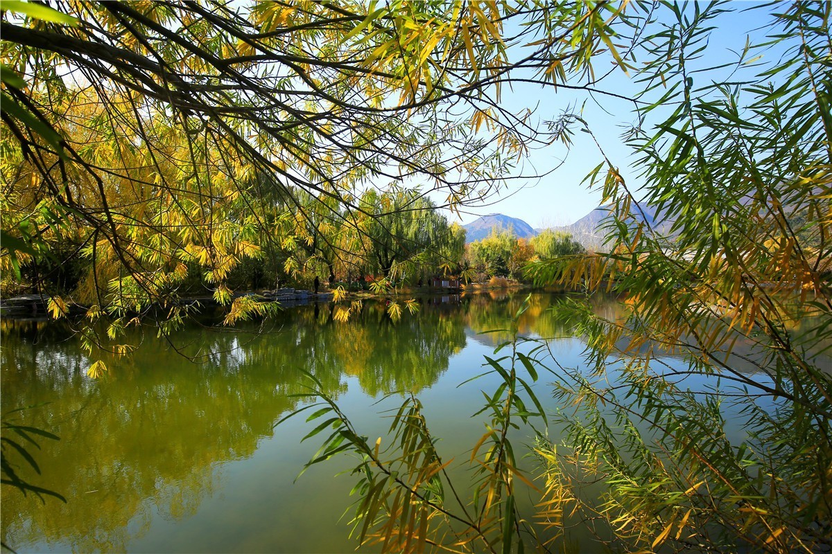 植物园秋景2.