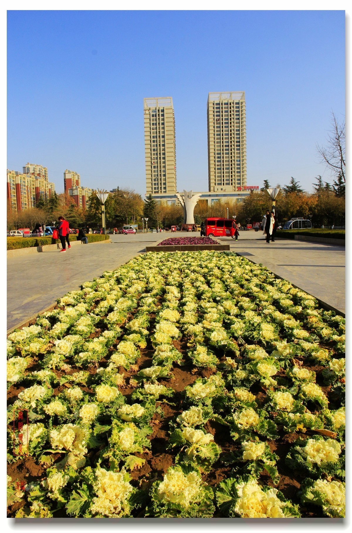 #版主坐堂#2017年12月份《承德》优秀作品选辑