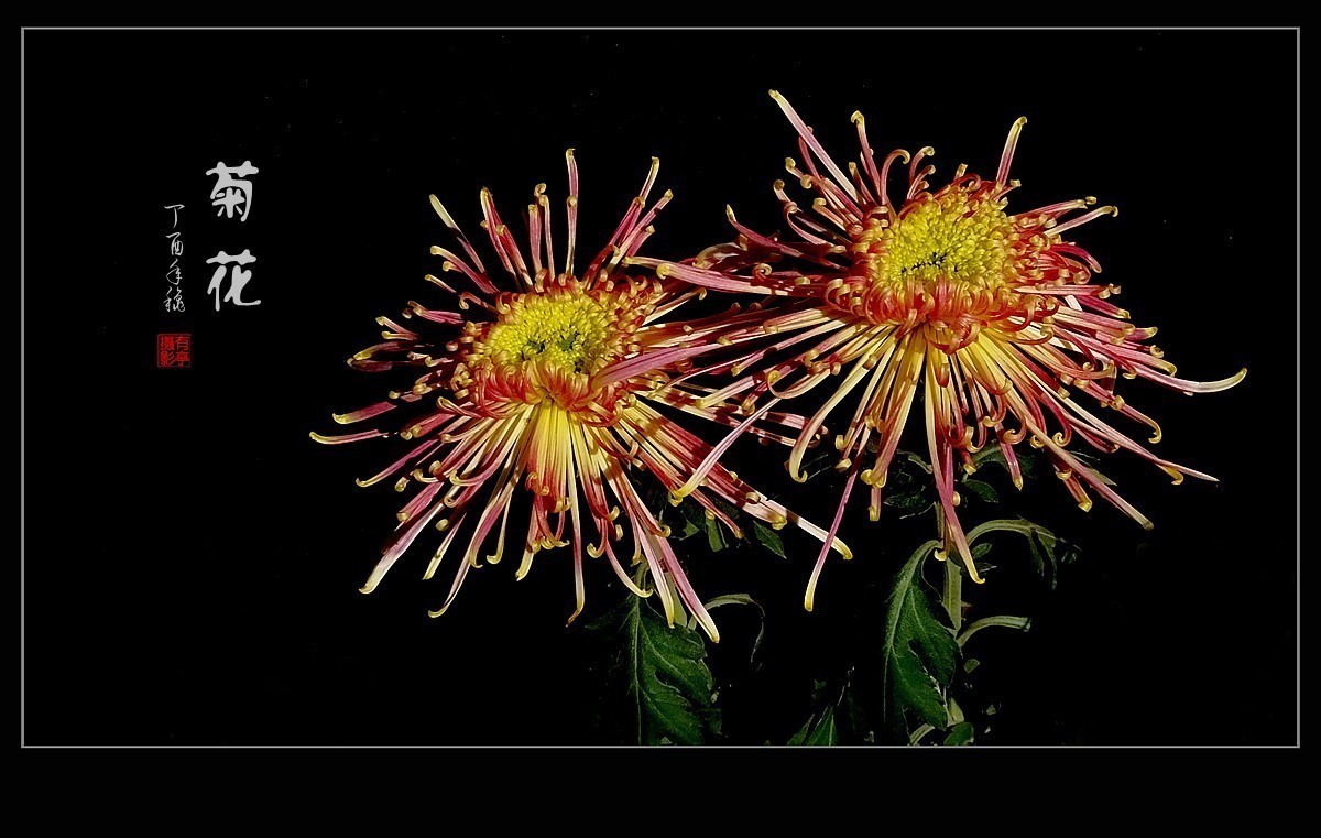 #版主坐堂#2017年12月份《承德》优秀作品选辑