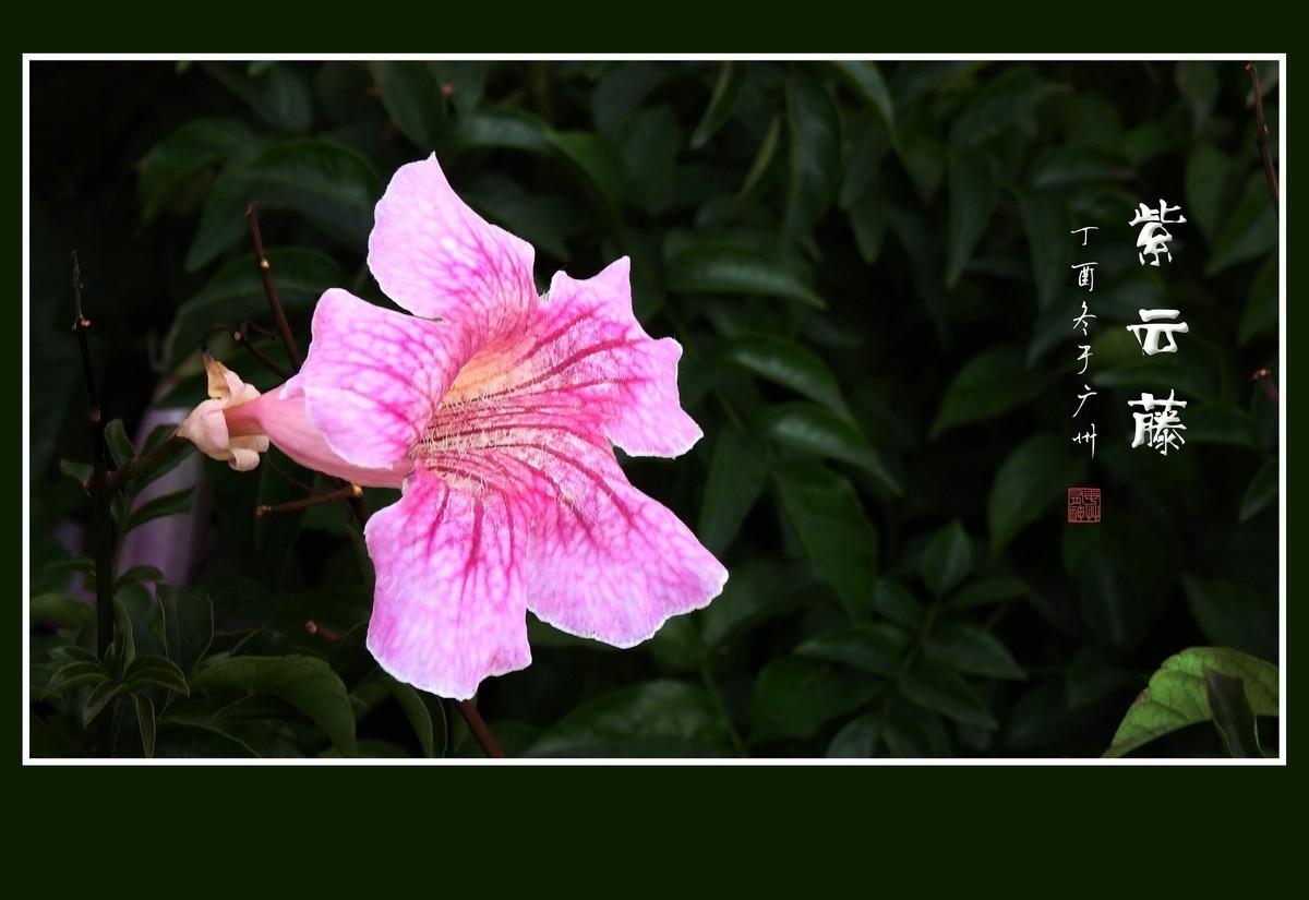 #版主坐堂#2017年12月份《承德》优秀作品选辑