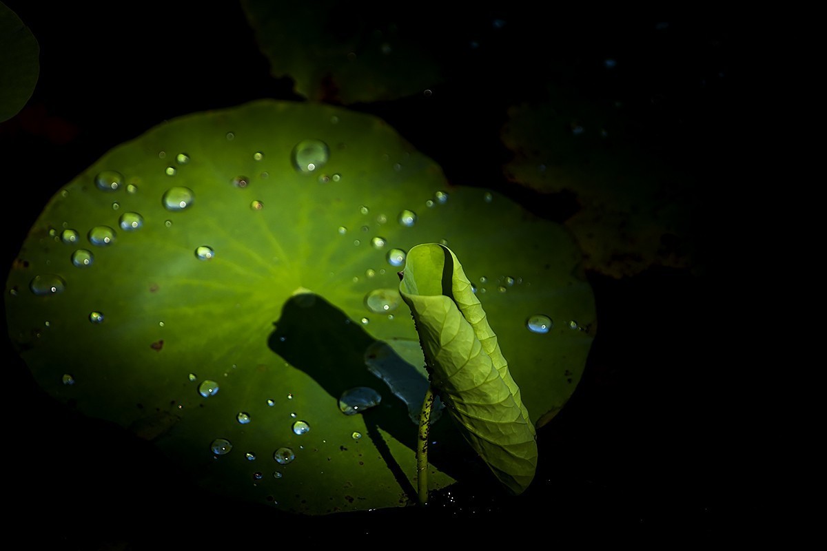 #佳能EOS M6-定格光影#——太阳当头照，专拍光影照！