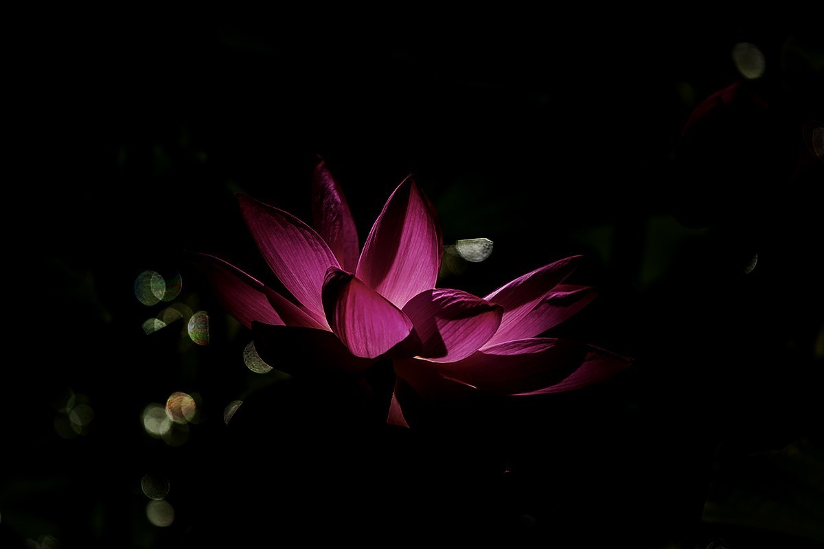 #佳能EOS M6-定格光影#——太阳当头照，专拍光影照！