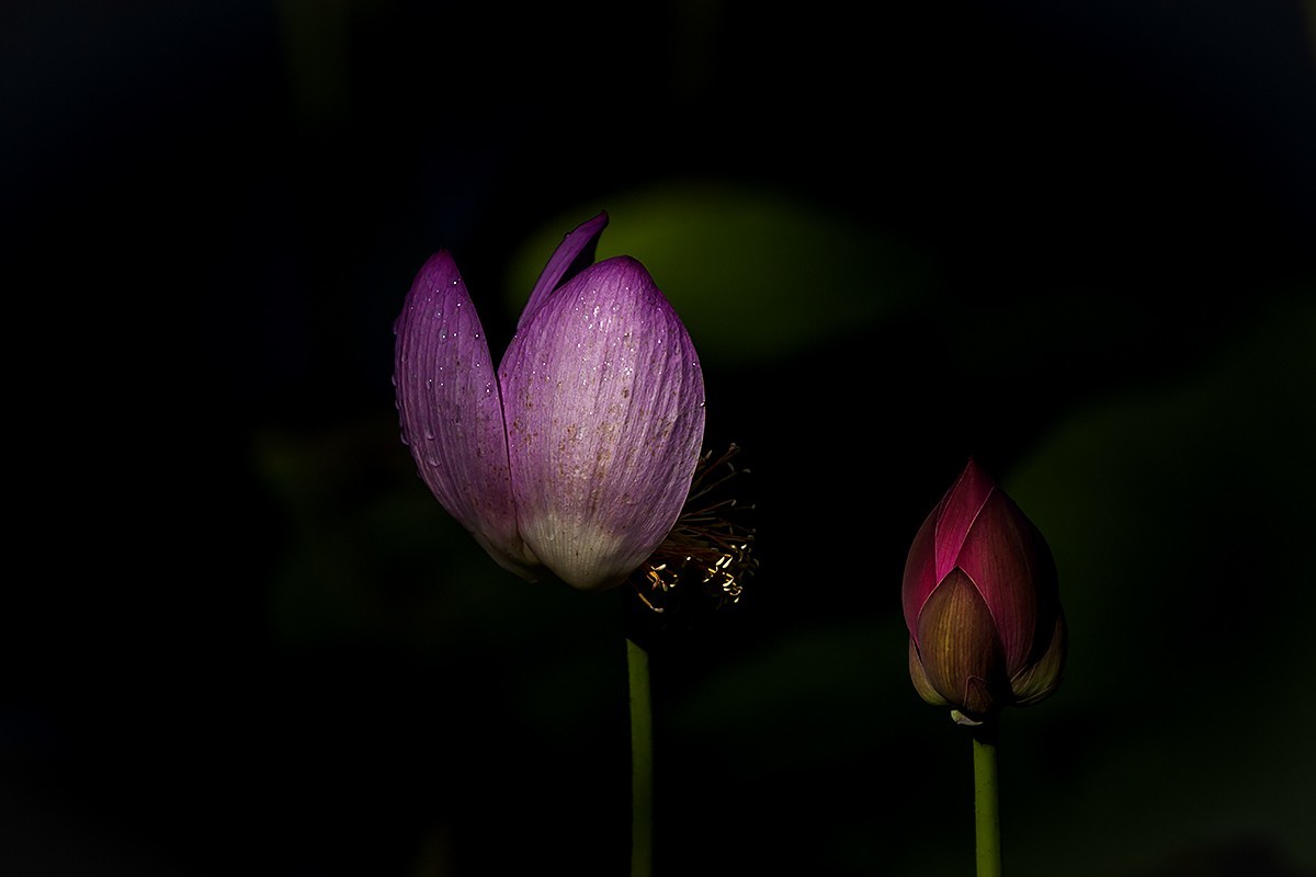 #佳能EOS M6-定格光影#——太阳当头照，专拍光影照！