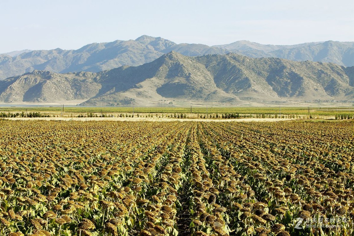 西行漫记 53 富蕴县 可可托海 B