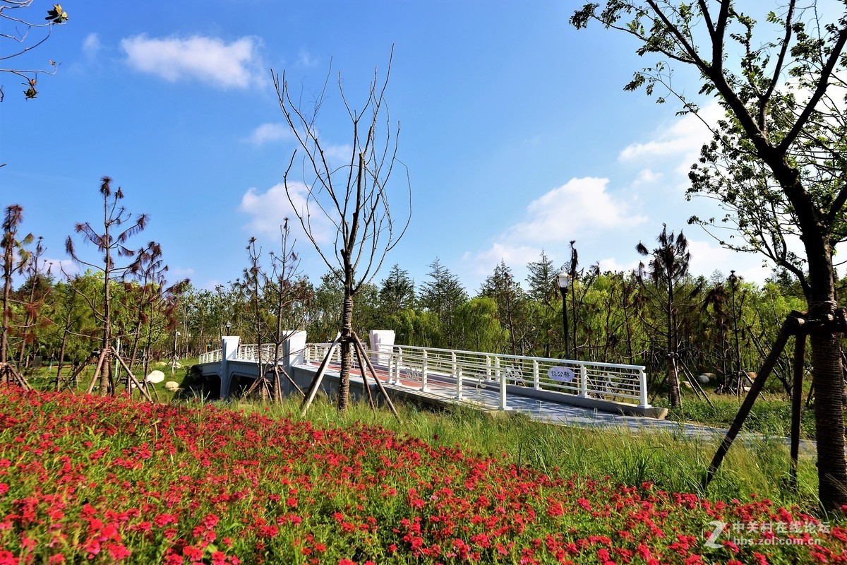 郊野風光上海浦江郊野公園