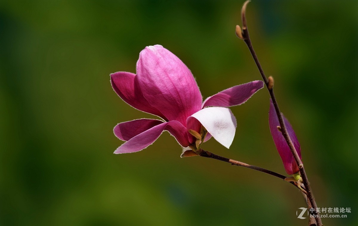#版主坐堂# 腾龙153星空(中国)2017年十月精品荟萃