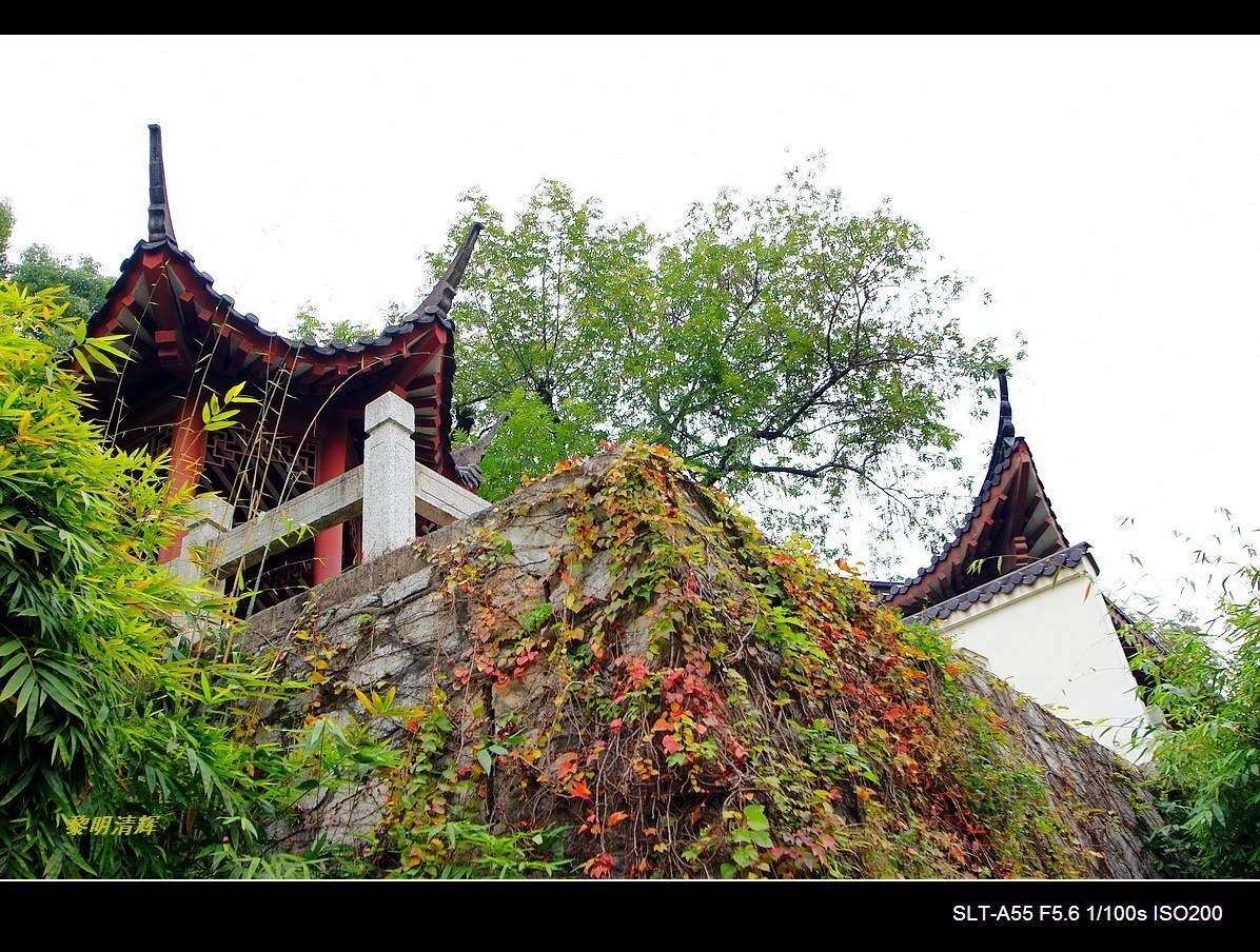 #版主坐堂#2017年12月份《承德》优秀作品选辑