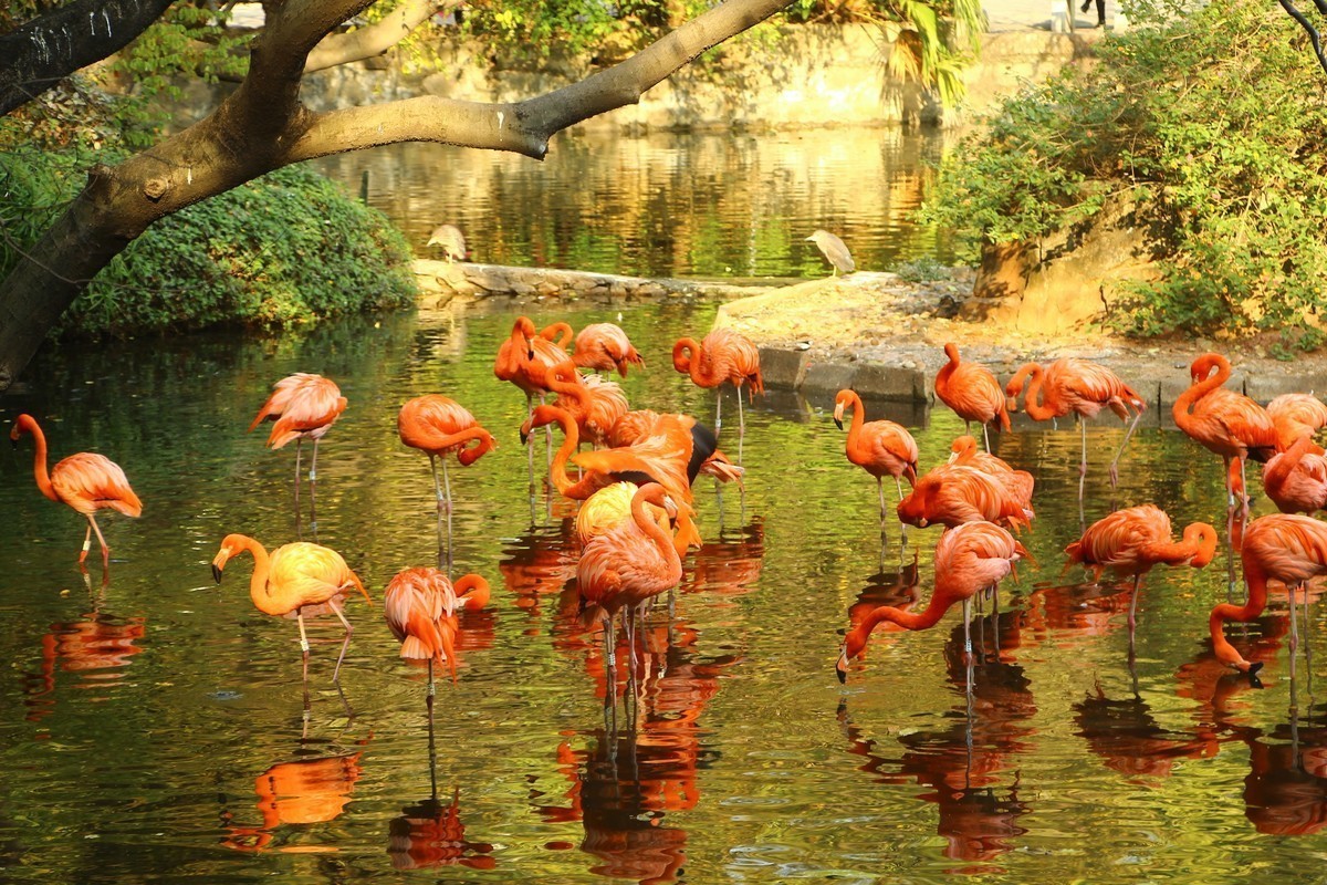 #版主坐堂#2017年12月份《承德》优秀作品选辑