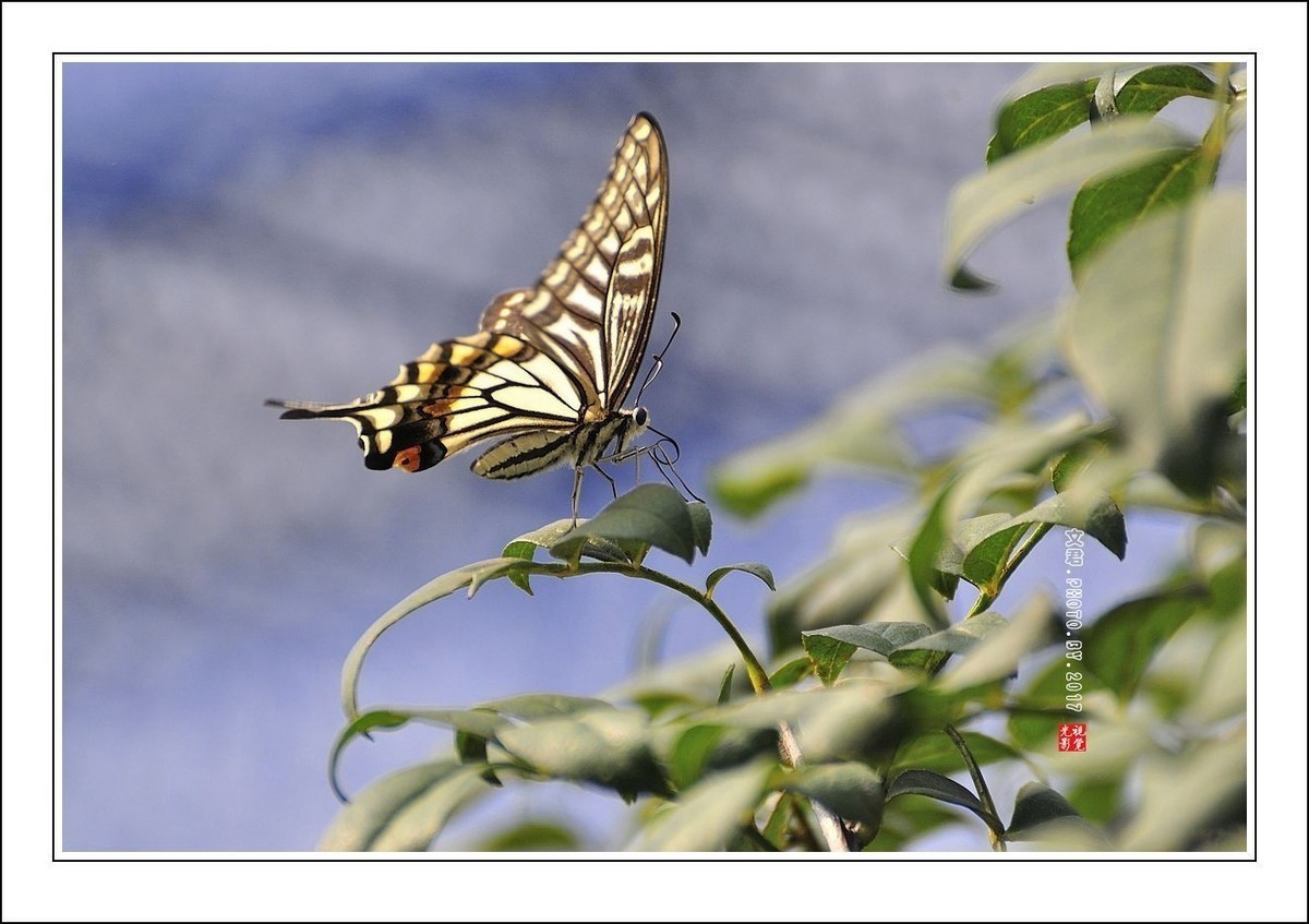 #版主坐堂#2017年12月份《承德》优秀作品选辑