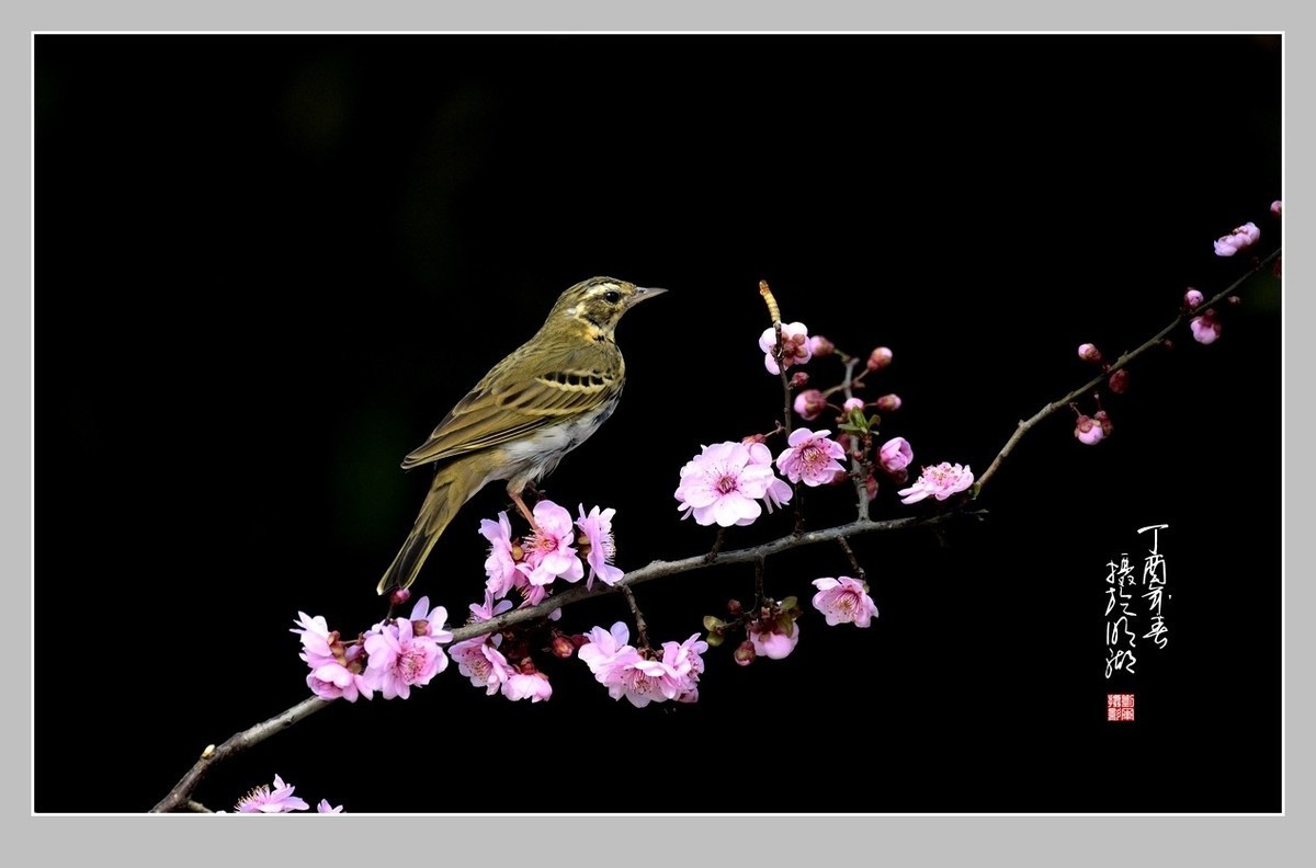 #版主坐堂#2017年12月份《承德》优秀作品选辑