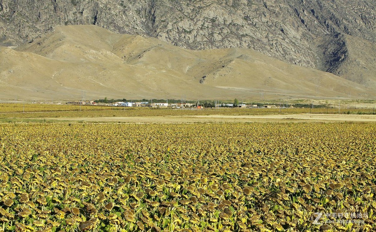 西行漫记 53 富蕴县 可可托海 B