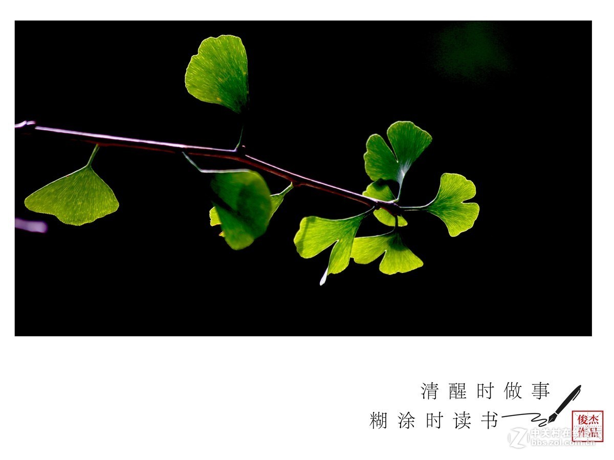 #佳能月赛-金秋十月#秋意浓