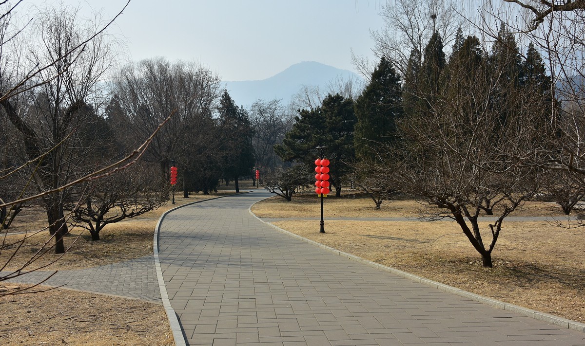 无雪的冬景一