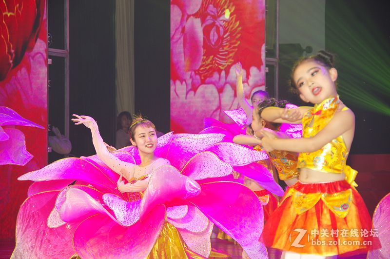 国庆节期间的美丽不一样的 ----------美丽之源源舞园