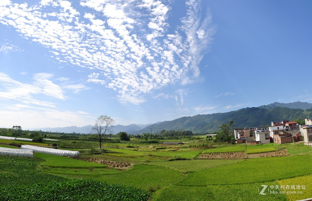 老家田园-中关村在线摄影论坛