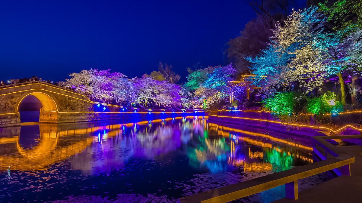 無錫黿頭渚櫻花夜公園