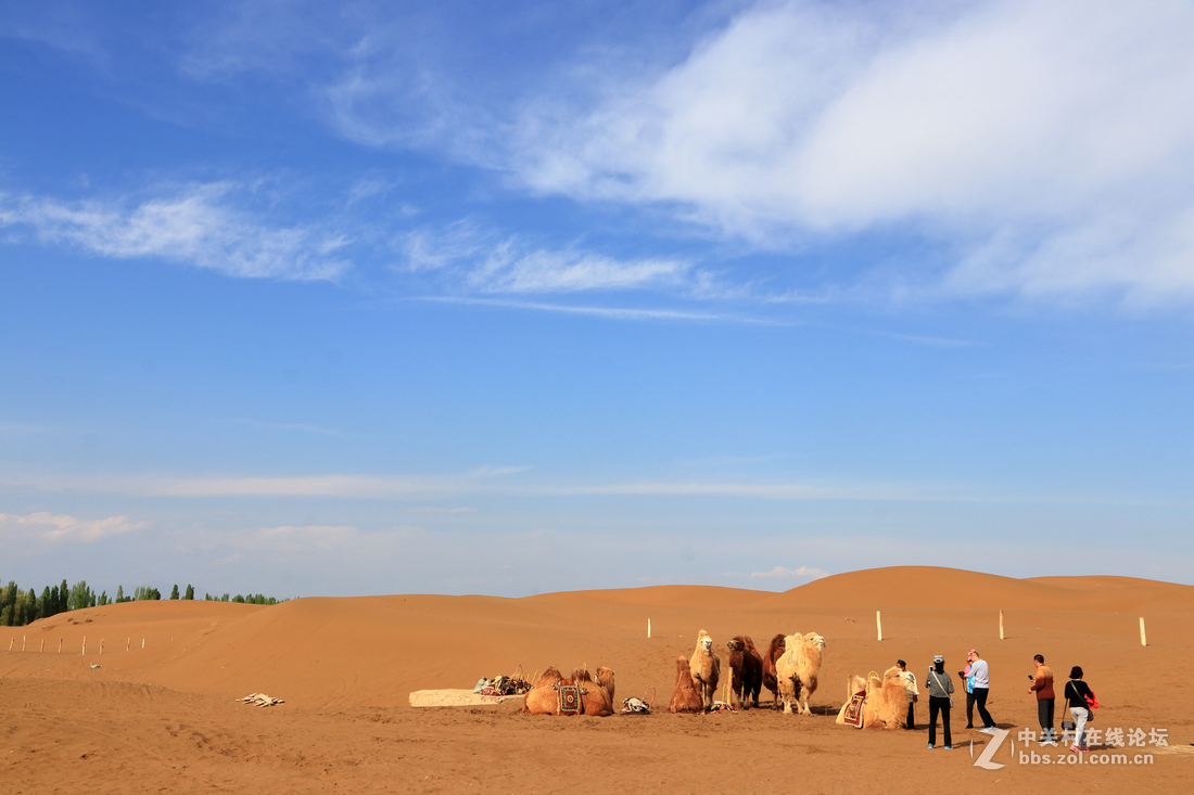 新疆 库木塔格沙漠