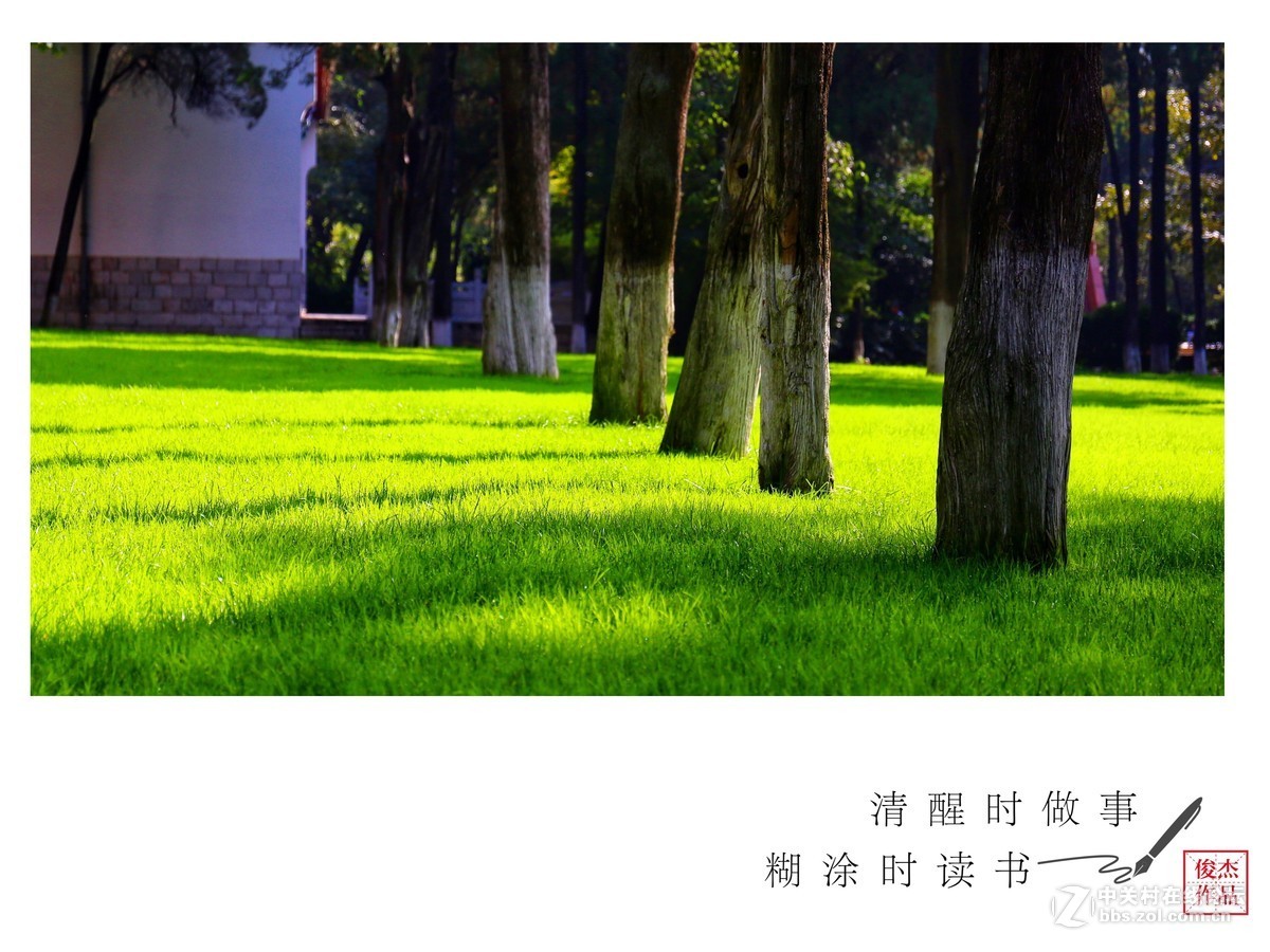 #佳能月赛-金秋十月#秋意浓