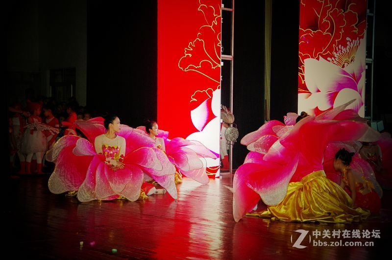 国庆节期间的美丽不一样的 ----------美丽之源源舞园