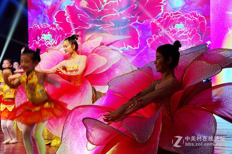 国庆节期间的美丽不一样的 ----------美丽之源源舞园