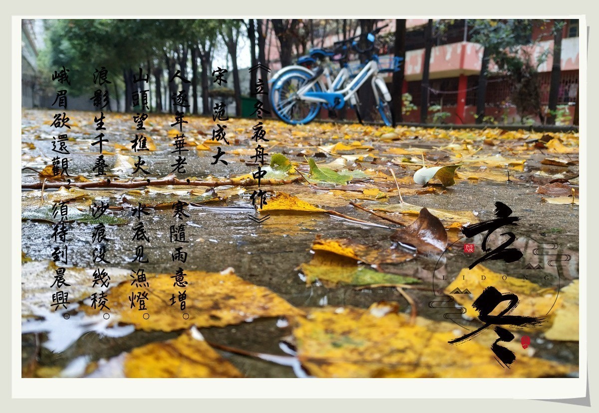 寒风呼啸叶枯黄,滴滴细雨迎立冬"天凉请加衣