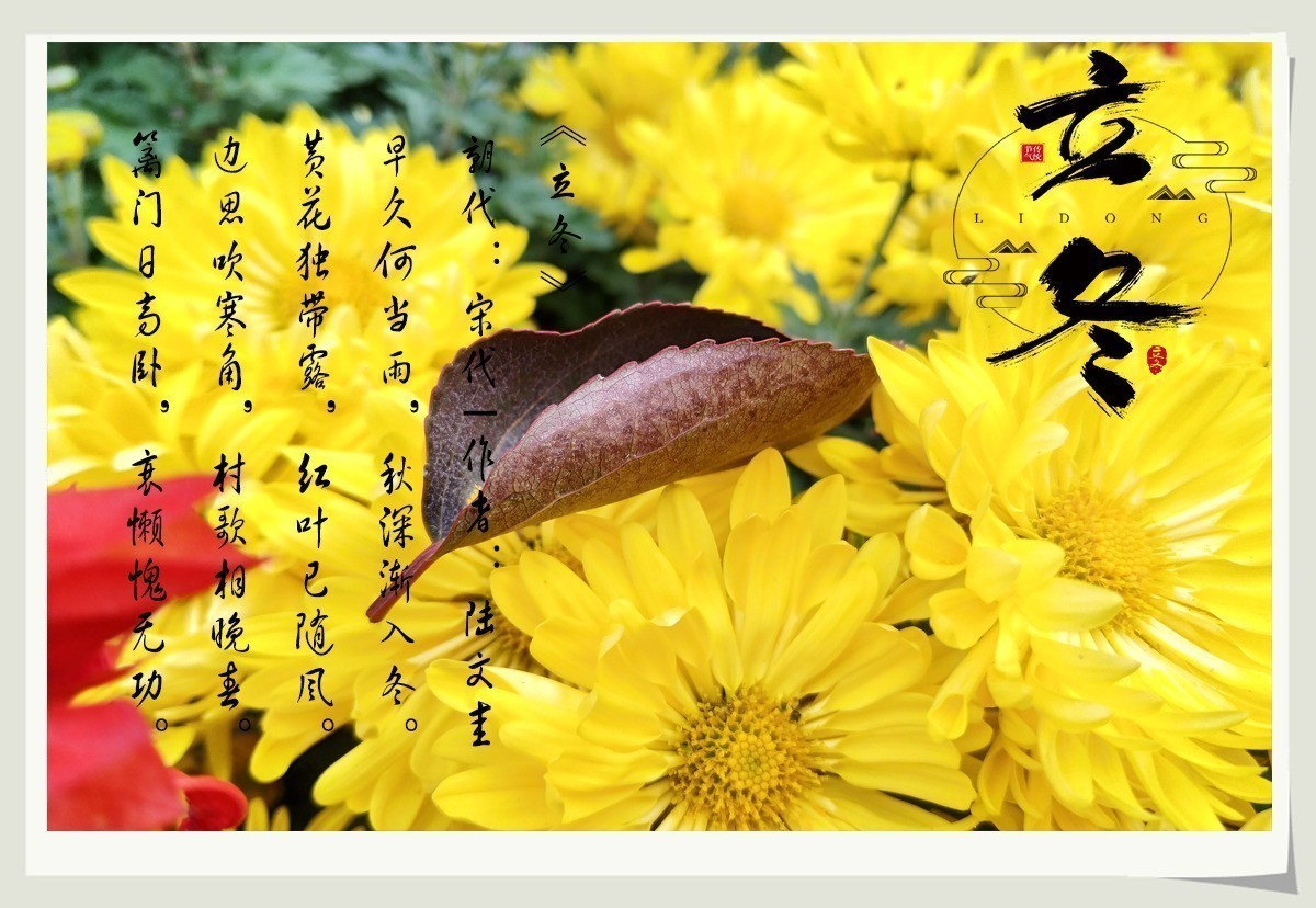 “秋雨将去立冬来，冬雨潇潇寒风扬。寒风呼啸叶枯黄，滴滴细雨迎立冬”天凉请加衣