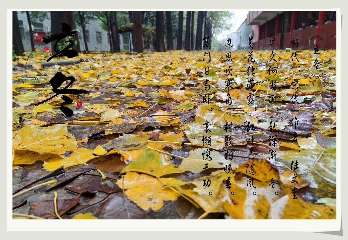 “秋雨将去立冬来，冬雨潇潇寒风扬。寒风呼啸叶枯黄，滴滴细雨迎立冬”天凉请加衣