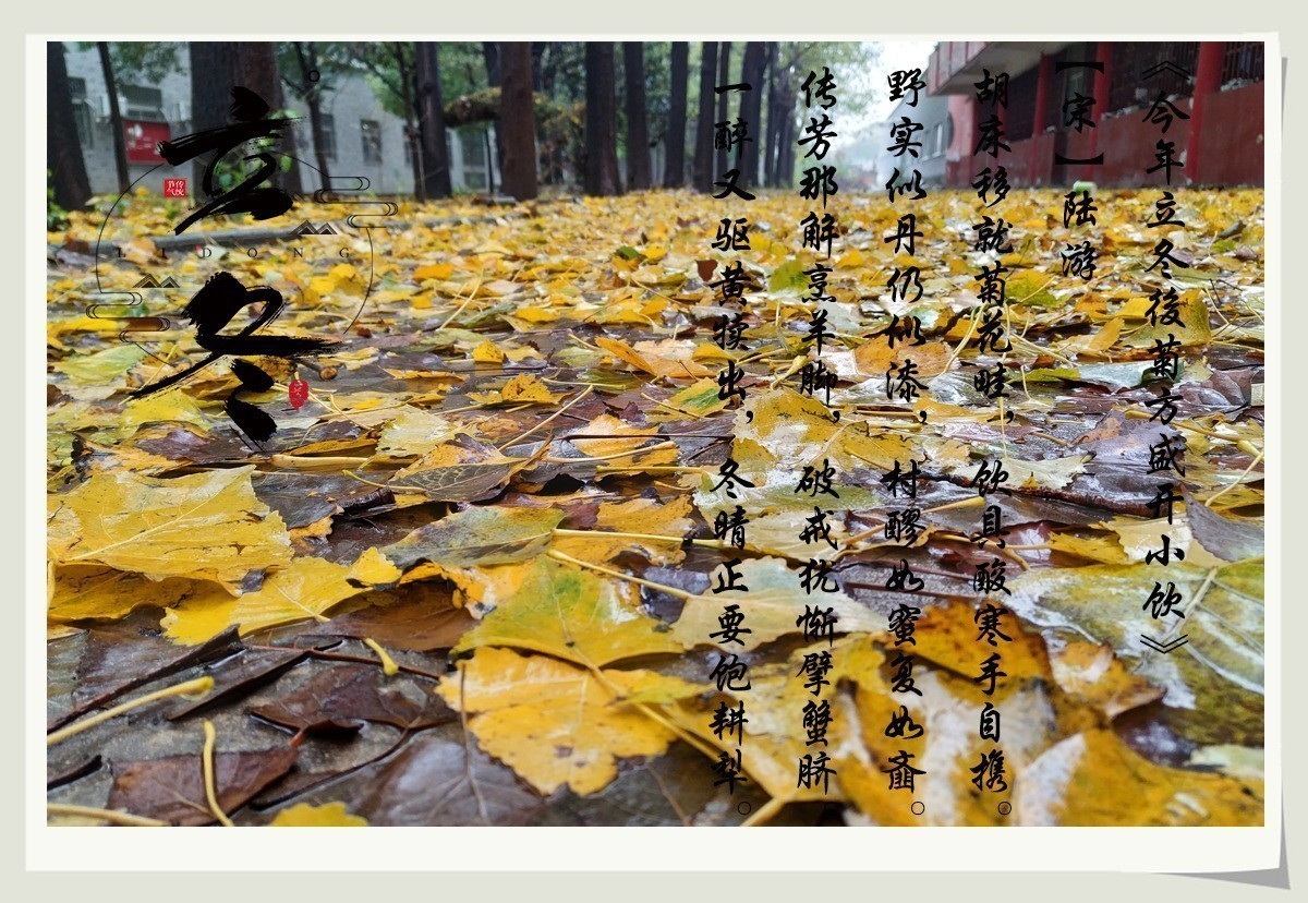“秋雨将去立冬来，冬雨潇潇寒风扬。寒风呼啸叶枯黄，滴滴细雨迎立冬”天凉请加衣