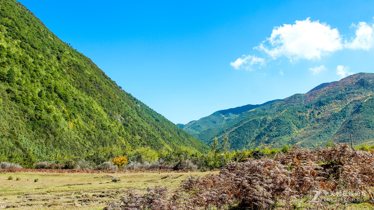 大理花甸坝秋色