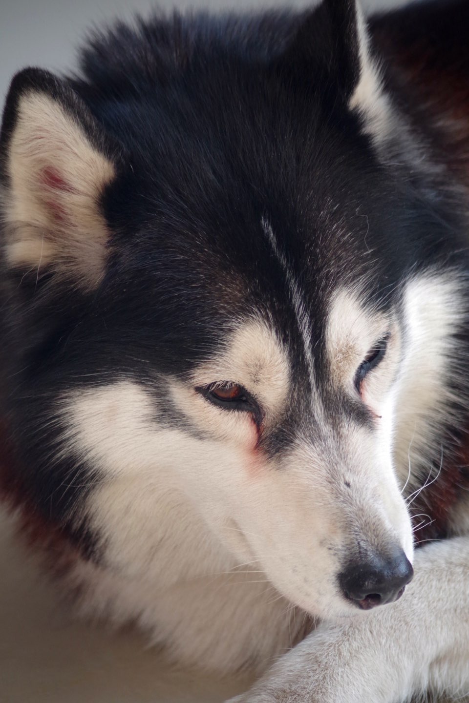 宾得ks1～da55—300