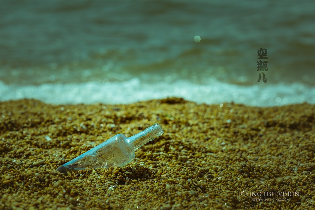 飞翔的海鸥、漂流瓶......