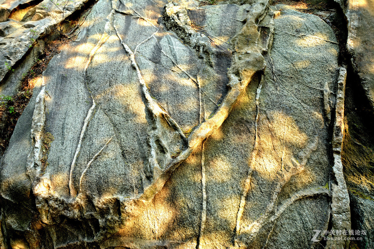 中华泰山、天下泰安 —— 拍摄的一组泰山风景图