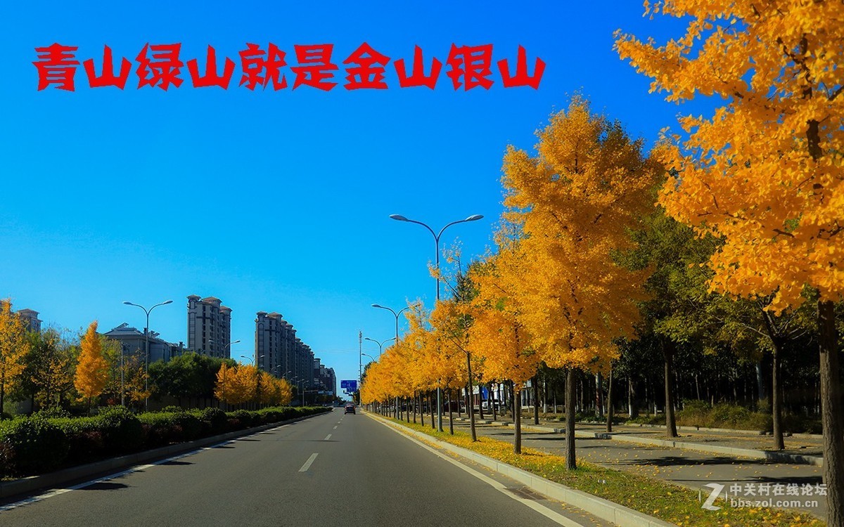 北京美丽的金秋