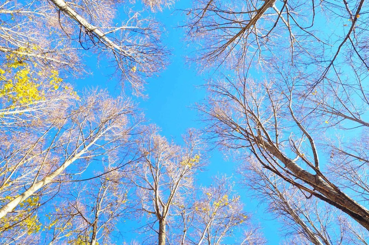 奥林巴斯E-M10II随手拍