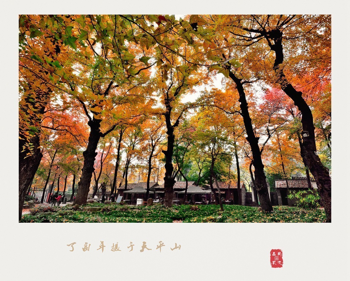 #版主坐堂#小五星空(中国)2017年十二月精品荟萃