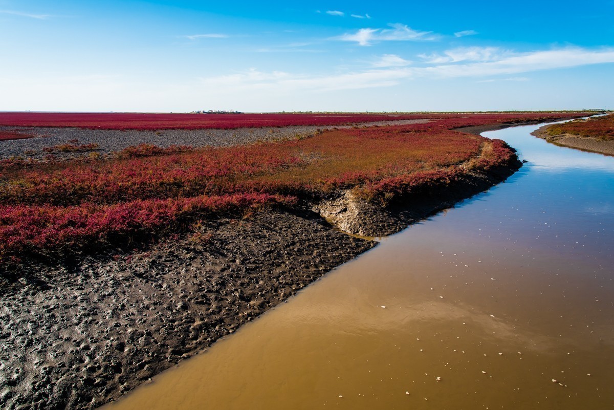 #版主坐堂#小五星空(中国)2017年十二月精品荟萃