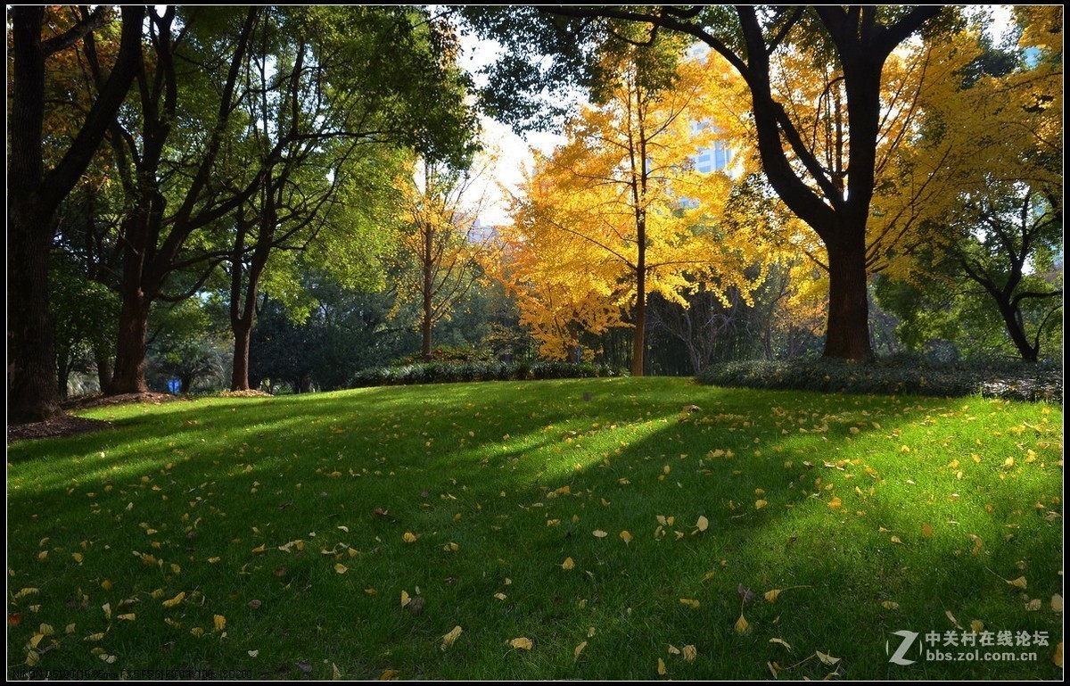 #版主坐堂#小五星空(中国)2017年十二月精品荟萃