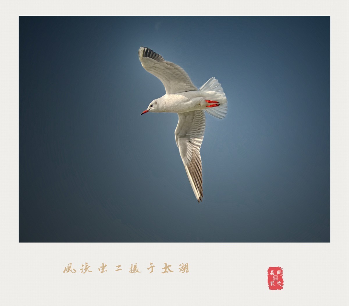 #版主坐堂#小五星空(中国)2017年十二月精品荟萃