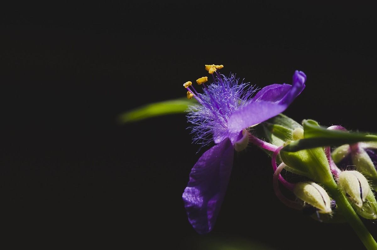 #版主坐堂#小五星空(中国)2017年十二月精品荟萃