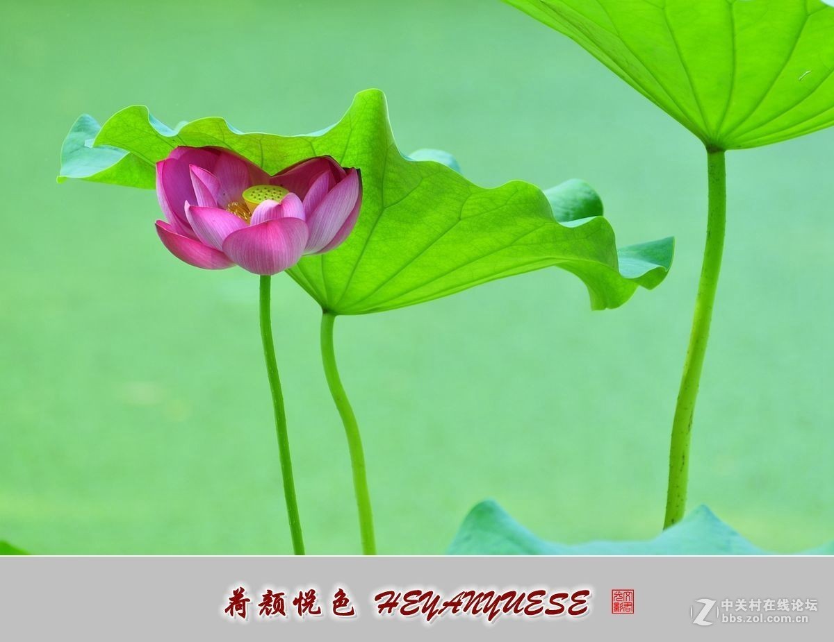 #版主坐堂#小五星空(中国)2017年十二月精品荟萃