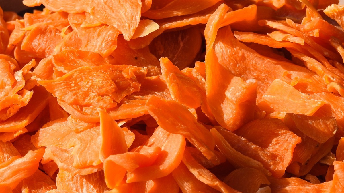 尼康P900S——不饱口福，也饱眼福