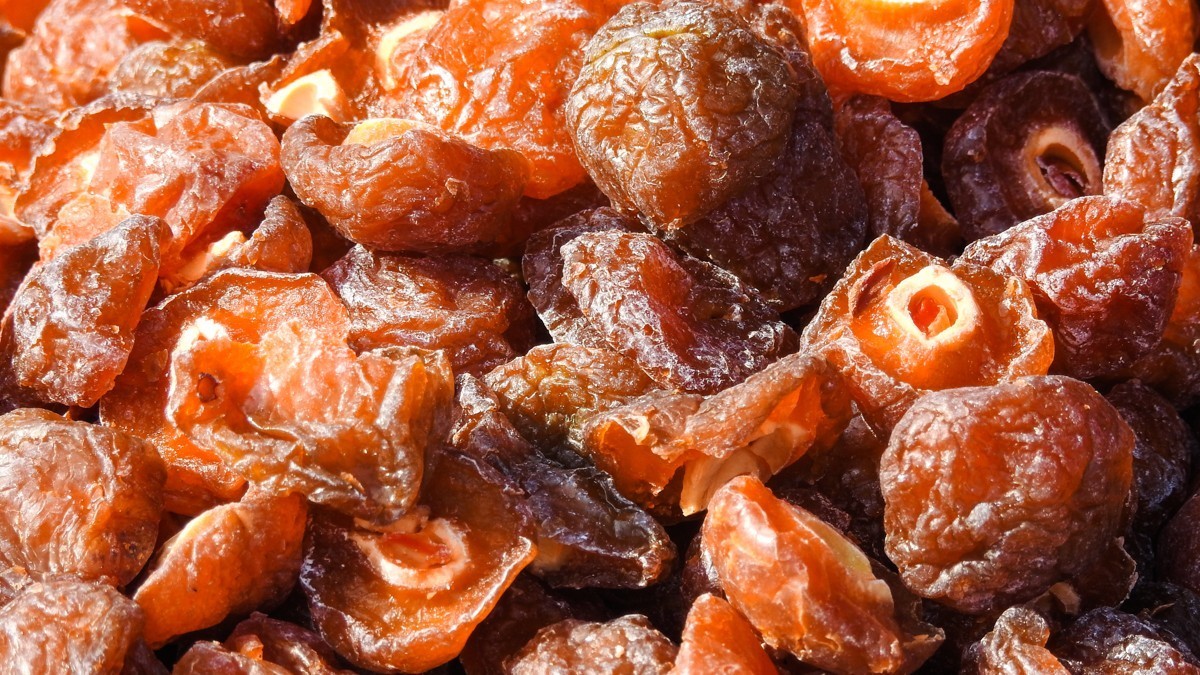 尼康P900S——不饱口福，也饱眼福