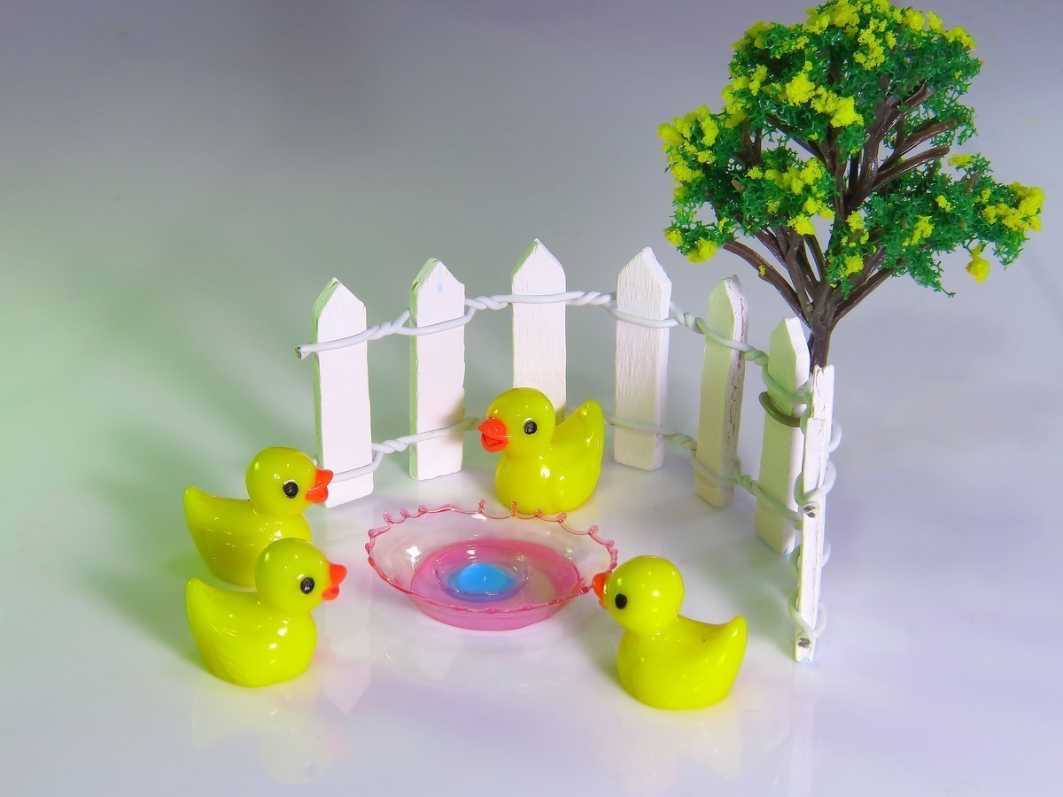 #版主坐堂# 2017年12月份微距星空(中国)优秀作品汇编