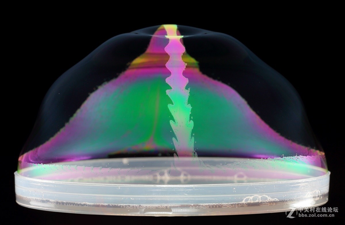 #版主坐堂# 2017年12月份微距星空(中国)优秀作品汇编