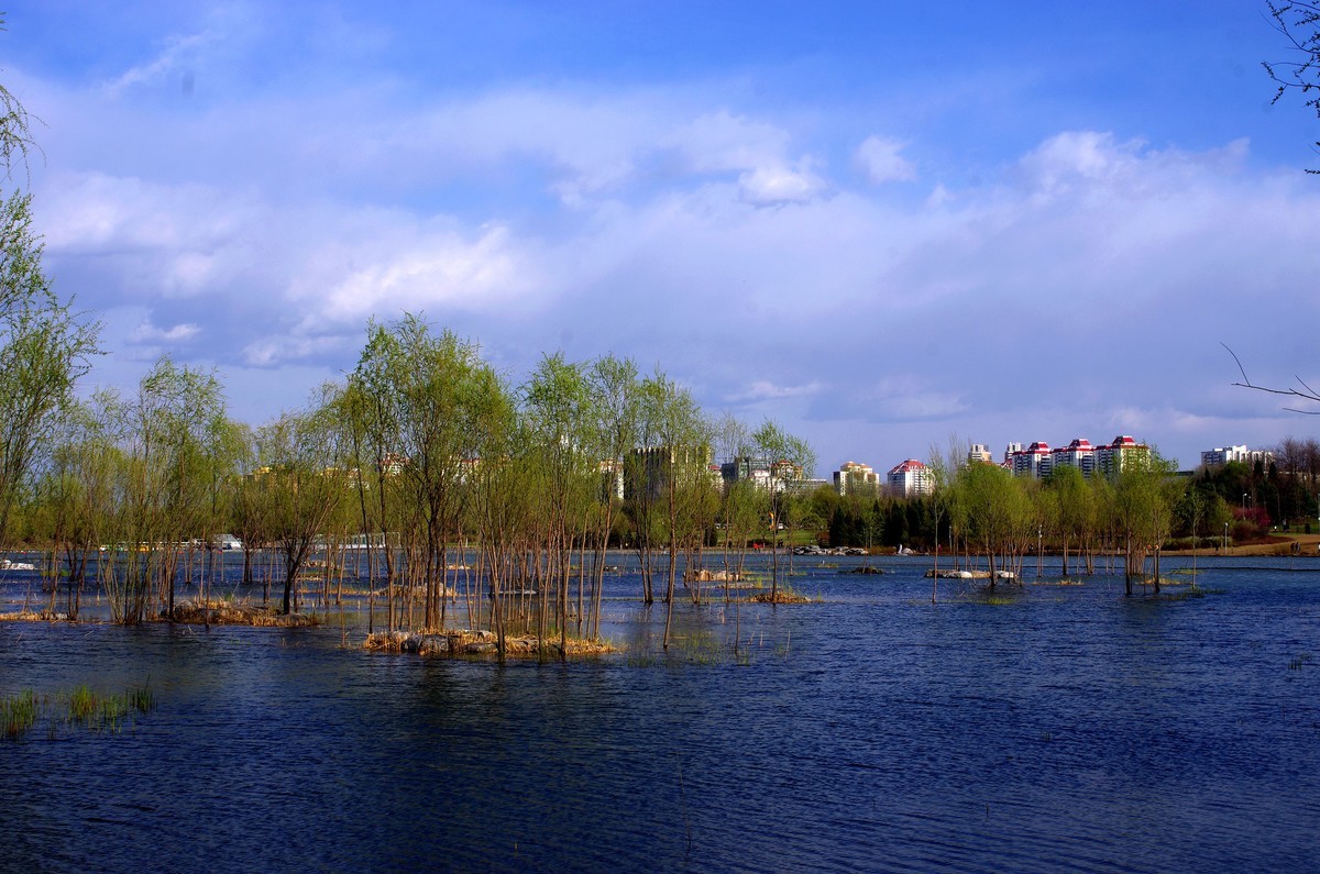 2018奧森公園溼地風景三