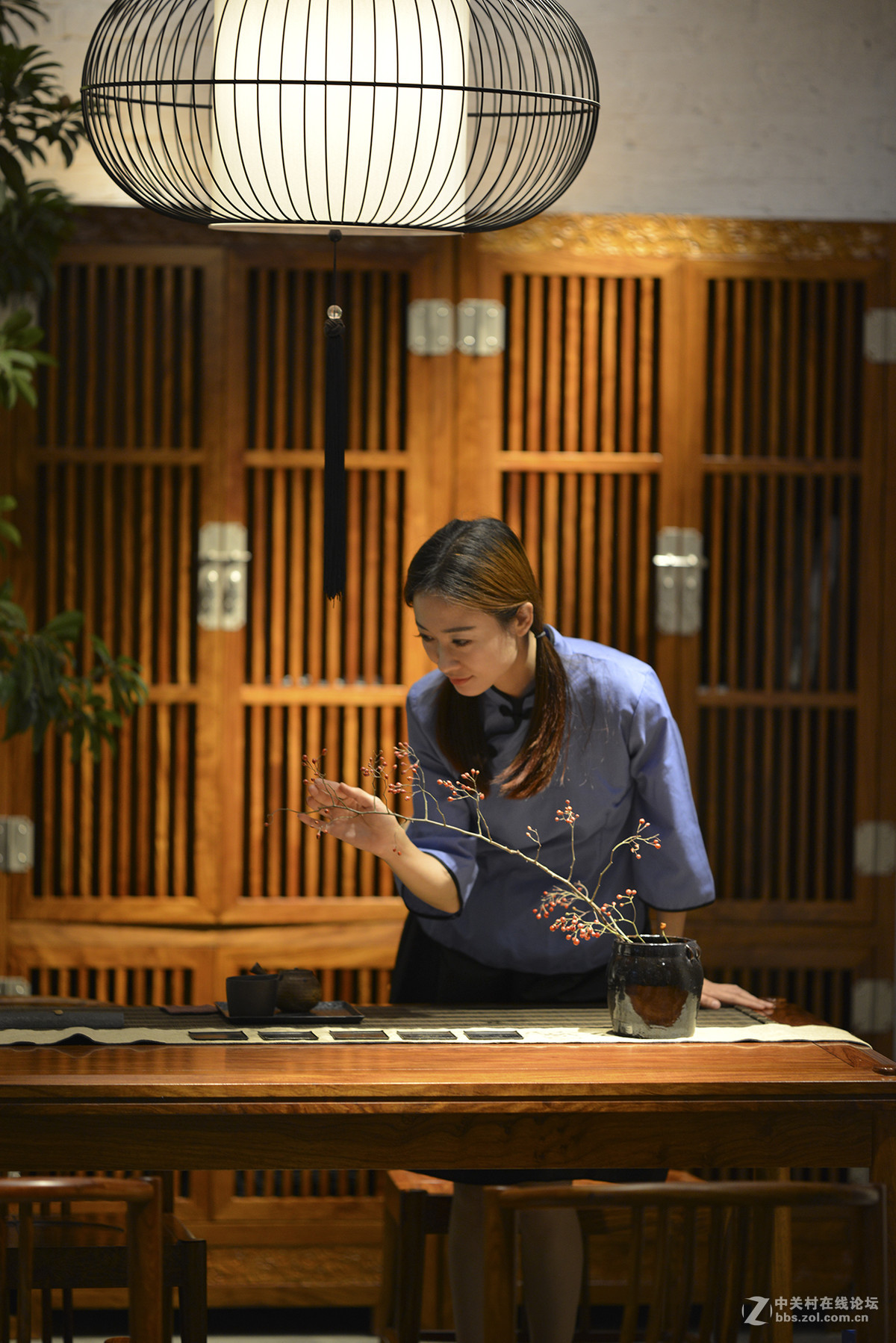 #ZOL月赛-记录最后的2015#+小家碧玉惹人怜