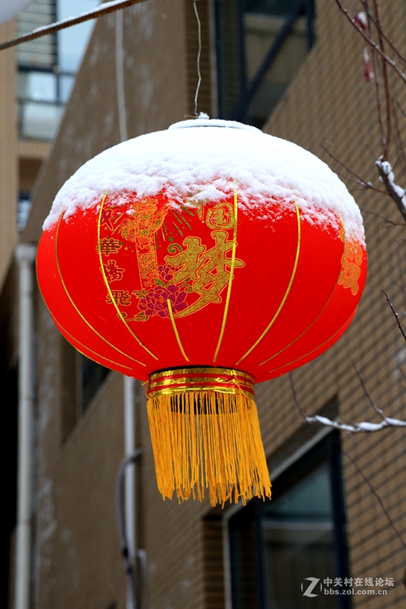 不是一个人的梦